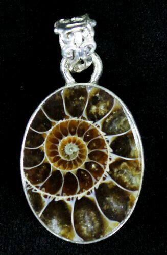 Ammonite Fossil Pendant - Sterling Silver #21040